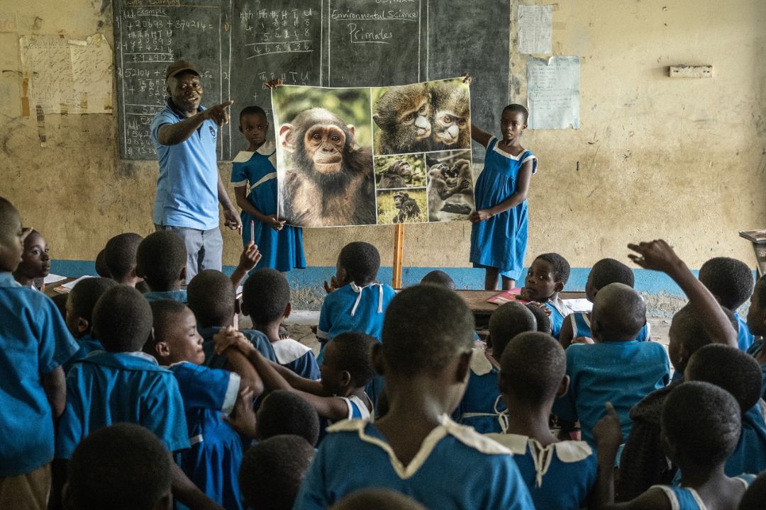 In 2024 was Go Ape in staat een flink deel van het educatiebudget van Limbe te sponsoren