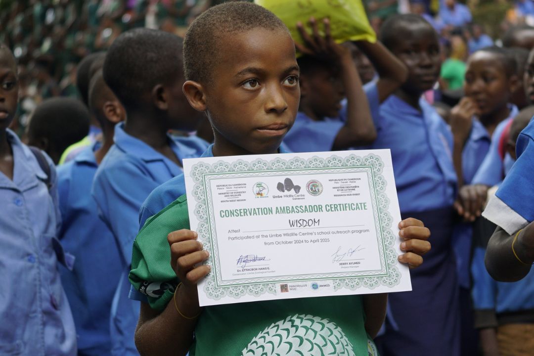 Graduation day in 2025 in Limbe voor de leerlingen van het natuurlesprogramma