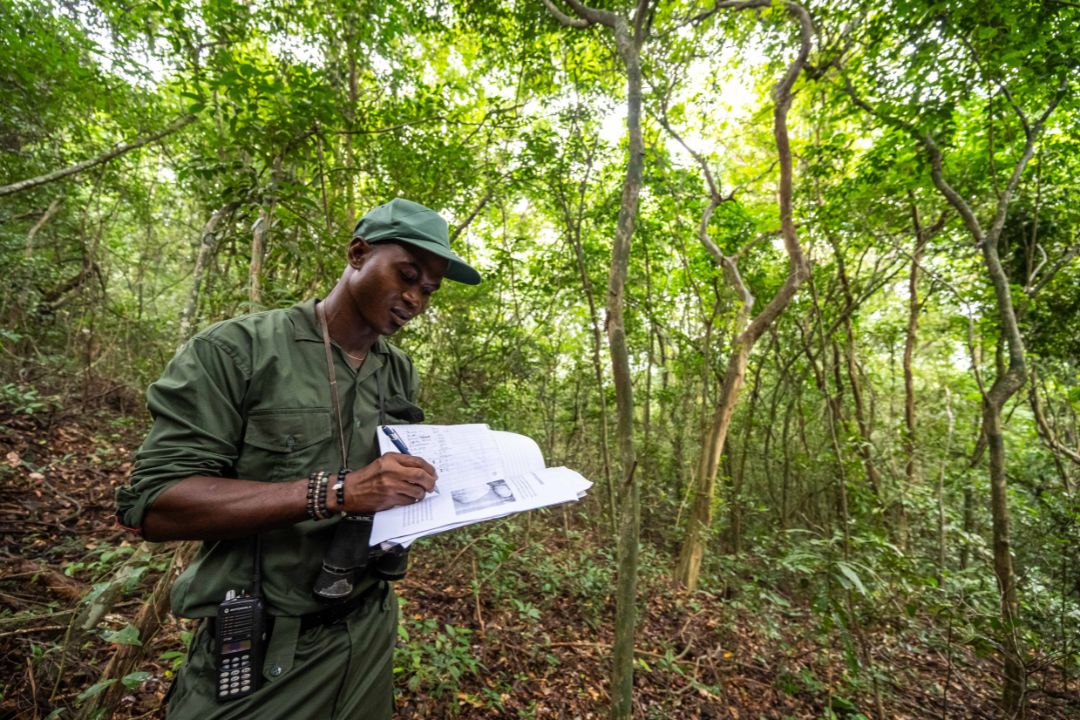Rangers in actie in Sierra Leone waar ze de habitat van wilde dieren beschermen