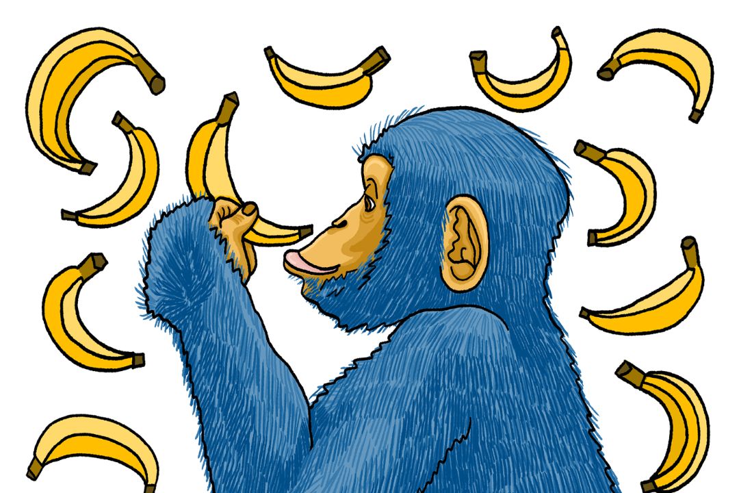 Untitled design (2) chimpmail q4 2024