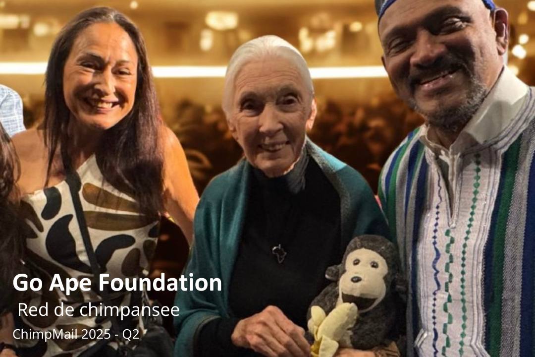 cf5b8792-3eba-f894-a438-6782f06ba740