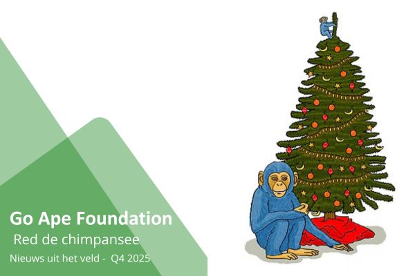 Go Ape Foundation - Nieuwsbrief ChimpMail Q4 2025